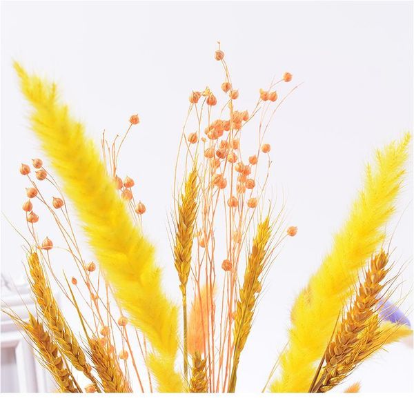 natural dried flowers artificial flower dried eucalyptus leaf real wheat cotton bulrush nordic for home wedding party de jllase
natural dried flowers artificial flower dried eucalyptus leaf real wheat cotton bulrush nordic for home wedding party de jllase