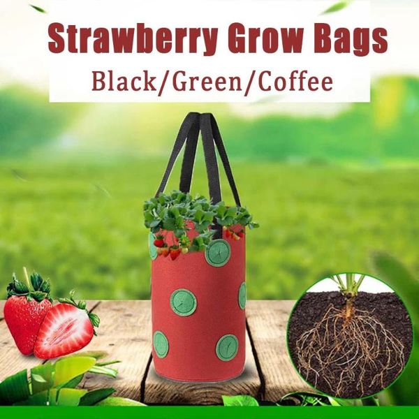 planters & pots grow bags gardening planting bag hanging strawberry feltcloth container thicken garden pot
planters & pots grow bags gardening planting bag hanging strawberry feltcloth container thicken garden pot
