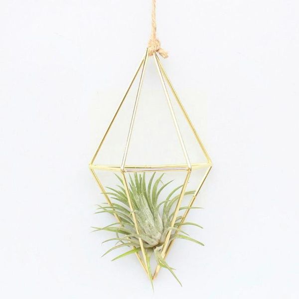 other garden supplies iron hanging flower basket geometric succulent plants indoor rattan holder pots wall outdoor home plant decor a6l2
other garden supplies iron hanging flower basket geometric succulent plants indoor rattan holder pots wall outdoor home plant decor a6l2