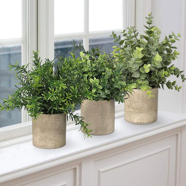 artificial plants indoors in pots 3pcs simulation mini potted plants for greenery home decoration wedding holiday gifts
artificial plants indoors in pots 3pcs simulation mini potted plants for greenery home decoration wedding holiday gifts
