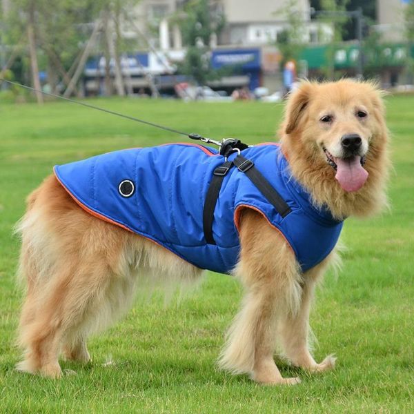 dog apparel winter pet-print cold-proof jacket, small vest and puppy two-in-one suit warm clothing jacket
dog apparel winter pet-print cold-proof jacket, small vest and puppy two-in-one suit warm clothing jacket