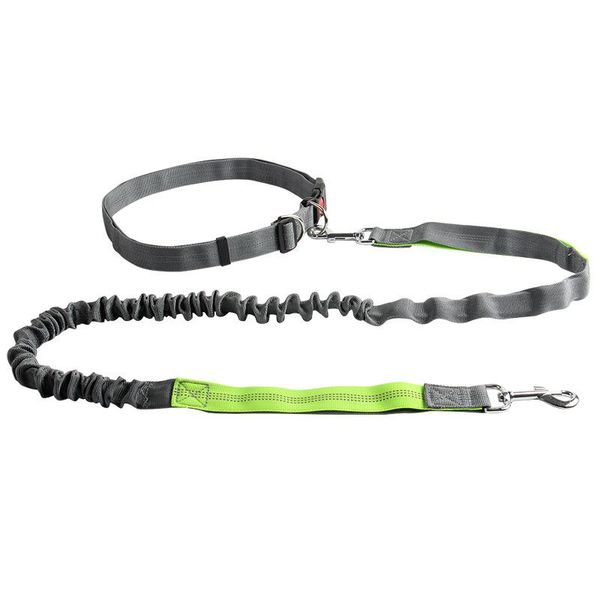 dog collars & leashes pet traction rope multi-functional running reflective elastic chain products
dog collars & leashes pet traction rope multi-functional running reflective elastic chain products