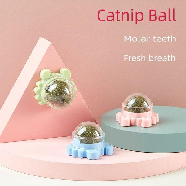 cat toys rotatable round catnip ball toy with lid posted on the wall, french windows,table cover,ground grinding teeth
cat toys rotatable round catnip ball toy with lid posted on the wall, french windows,table cover,ground grinding teeth