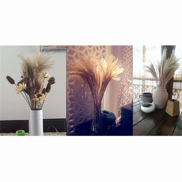 real pampas grass decor natural dried flowers plants wedding flowers dry flower bouquet fluffy lovely for holiday home decor
real pampas grass decor natural dried flowers plants wedding flowers dry flower bouquet fluffy lovely for holiday home decor