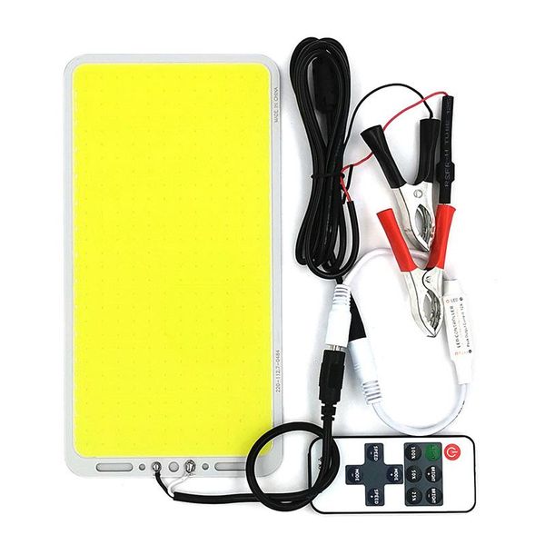 upgraded led light panel 12v 100w fishing rod cob lamp for outdoor lighting car light dc12v dimmable led bulb with dimmer
upgraded led light panel 12v 100w fishing rod cob lamp for outdoor lighting car light dc12v dimmable led bulb with dimmer