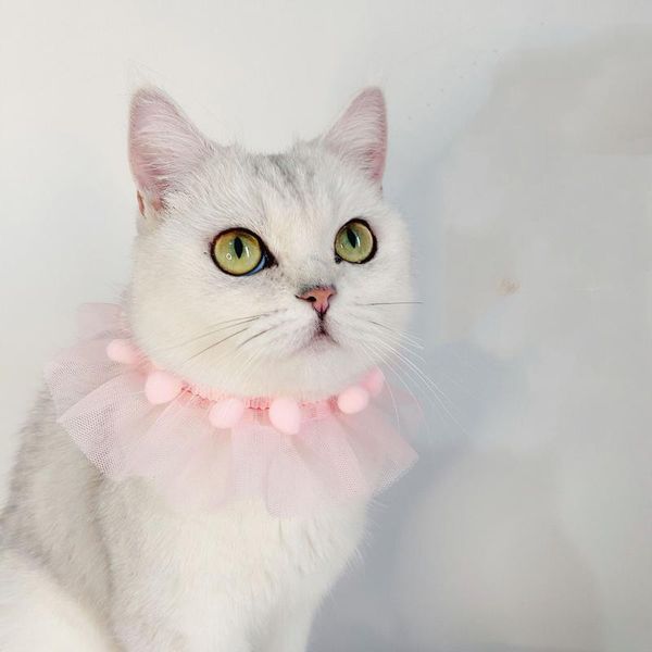 cat collars & leads princess gaze handmade collar for cats lace dog necklace accessories sweet pet bows scarf cute kitten neck yorkie pomera
cat collars & leads princess gaze handmade collar for cats lace dog necklace accessories sweet pet bows scarf cute kitten neck yorkie pomera