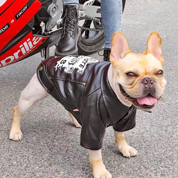pet dog motorcycle coat jacket biker jacket waterproof outdoor puppy outerwear winter dog clothes for small medium large dogs
pet dog motorcycle coat jacket biker jacket waterproof outdoor puppy outerwear winter dog clothes for small medium large dogs
