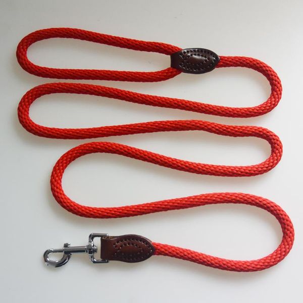 dog collars & leashes leash nylon pet puppy walking running training rope belt for small medium large dogs supplies
dog collars & leashes leash nylon pet puppy walking running training rope belt for small medium large dogs supplies