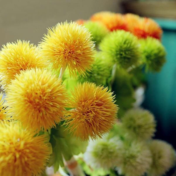 20 pcs denisfen artificial flowers korean stlye small thorn ball plastic decorative flowers home decoration arrangement
20 pcs denisfen artificial flowers korean stlye small thorn ball plastic decorative flowers home decoration arrangement