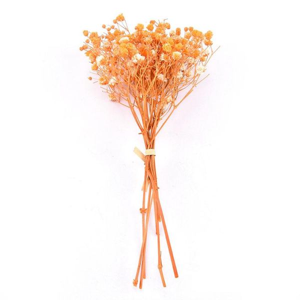 decorative flowers & wreaths mini dried natural bouquet plants preserve floral for wedding home decoration
decorative flowers & wreaths mini dried natural bouquet plants preserve floral for wedding home decoration