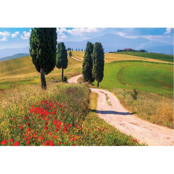 party decoration landscape backdrop suburban road scenery pography background holiday celebration po booth studio decor
party decoration landscape backdrop suburban road scenery pography background holiday celebration po booth studio decor