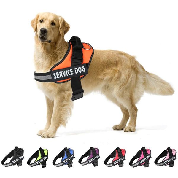 dog collars & leashes pet harnesses for dogs reflective adjustable vest harness husky puppy chihuahua medium large supplies
dog collars & leashes pet harnesses for dogs reflective adjustable vest harness husky puppy chihuahua medium large supplies
