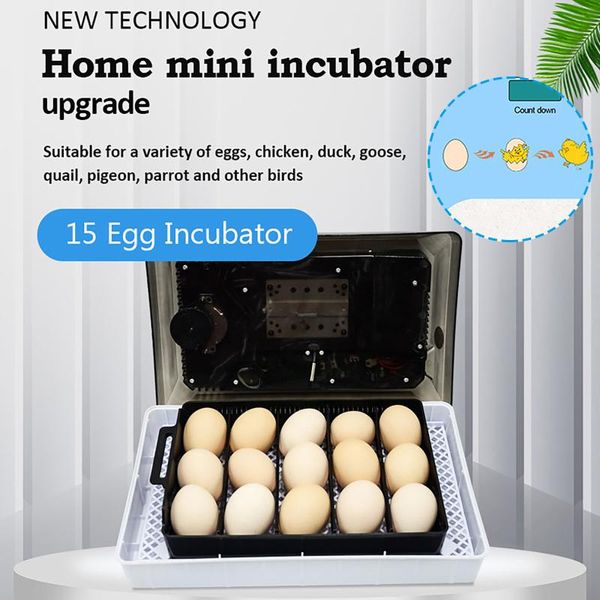 egg boilers 15 semi-automatic mini home incubator auto temperature control poultry breeding machine farm hatchery brooder
egg boilers 15 semi-automatic mini home incubator auto temperature control poultry breeding machine farm hatchery brooder