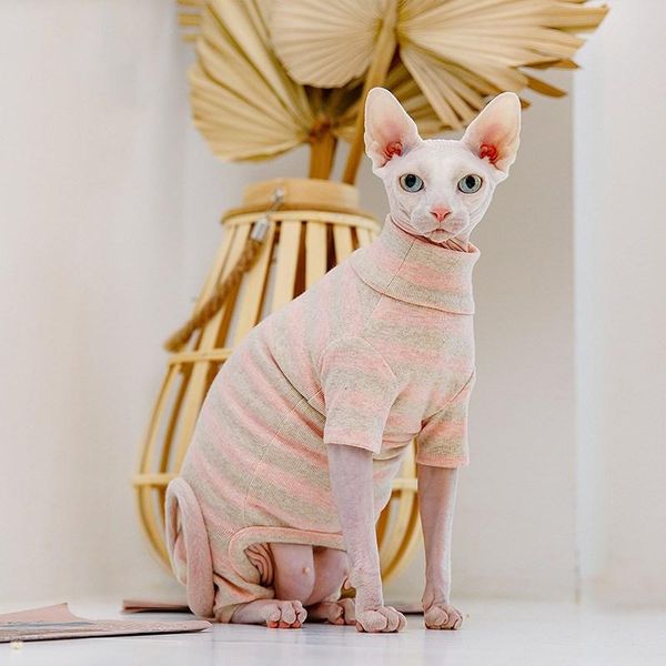 cat costumes sphinx thick clothes four-legged autumn and winter plush hairless accessories
cat costumes sphinx thick clothes four-legged autumn and winter plush hairless accessories