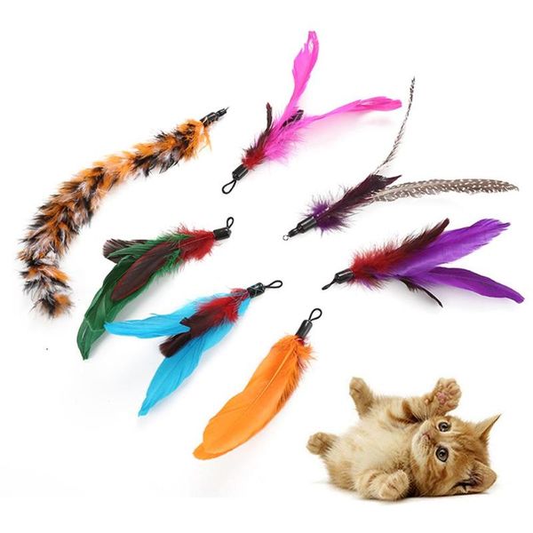 cat toys 7pcs pet cats kitten feather teaser play stick replacement heads scratch toy
cat toys 7pcs pet cats kitten feather teaser play stick replacement heads scratch toy