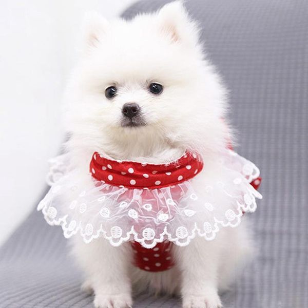 dog apparel sweet harness leash set cute bow lace rose dots puppy cat vest pet costumes tool
dog apparel sweet harness leash set cute bow lace rose dots puppy cat vest pet costumes tool
