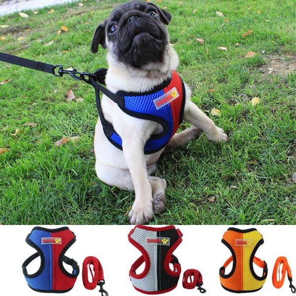 dog collars & leashes fashion pet harness vest with leash set colorful nylon mesh cat for small medium puppy chihuahua lead walki
dog collars & leashes fashion pet harness vest with leash set colorful nylon mesh cat for small medium puppy chihuahua lead walki
