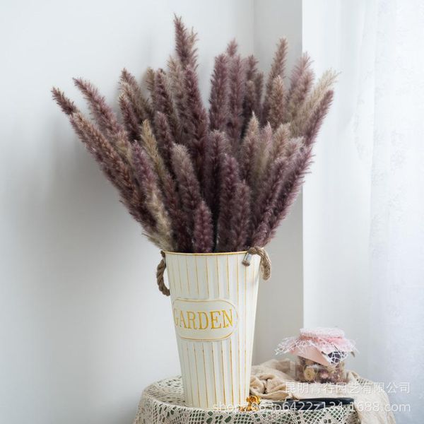 decorative flowers & wreaths real plants dried natural pampas grass reed flower small bulrush bouquet durable home decoration wedding decor
decorative flowers & wreaths real plants dried natural pampas grass reed flower small bulrush bouquet durable home decoration wedding decor