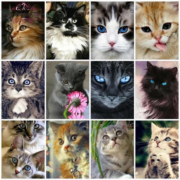 diamond painting 5d cat cute kitten embroidery cats animal pattern cross stitch kit full round drill mosaic home decor
diamond painting 5d cat cute kitten embroidery cats animal pattern cross stitch kit full round drill mosaic home decor
