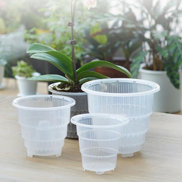planters & pots home garden flower pot succulent orchid pp transparent mesh fleshy flowerpot planter gifts decoration #560
planters & pots home garden flower pot succulent orchid pp transparent mesh fleshy flowerpot planter gifts decoration #560
