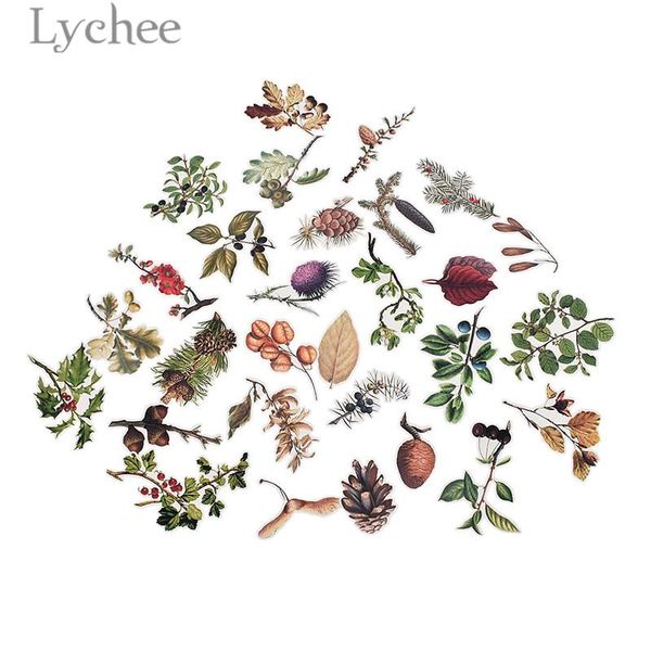 gift wrap pine cone mushroom stickers autumn theme paper decals diy scrapbooking diary label decorative
gift wrap pine cone mushroom stickers autumn theme paper decals diy scrapbooking diary label decorative