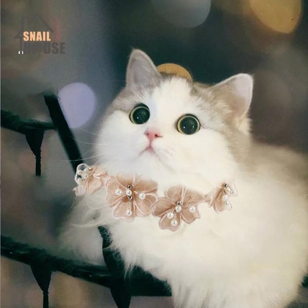 dog collars & leashes snailhouse cute delicate cat collar pet jewelry creative princess lace flower exquisite fashion necklace
dog collars & leashes snailhouse cute delicate cat collar pet jewelry creative princess lace flower exquisite fashion necklace