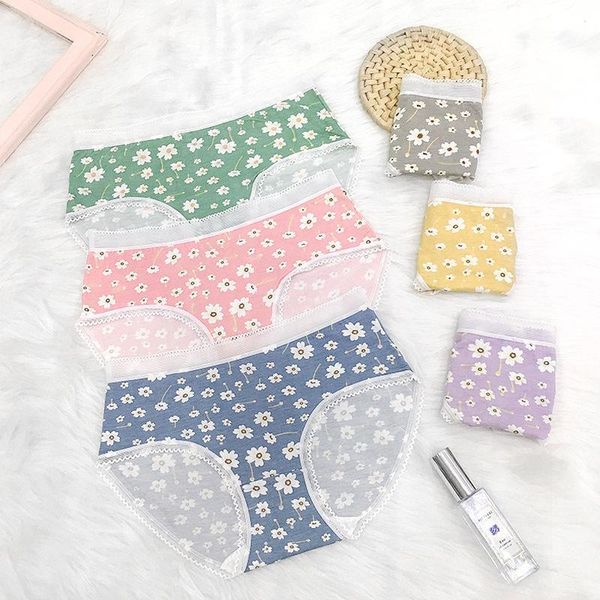 women's panties women floral breathable mid waist underpants girls briefs high-quality fashion panty female intimates underwear -xl, Black;pink
women's panties women floral breathable mid waist underpants girls briefs high-quality fashion panty female intimates underwear -xl, Black;pink