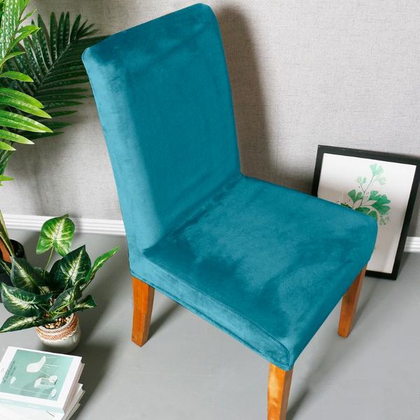 velvet chair cover 1/4 pcs spandex pile stretch wedding banquet solid color home party decor dining room soft seat cover p35
velvet chair cover 1/4 pcs spandex pile stretch wedding banquet solid color home party decor dining room soft seat cover p35