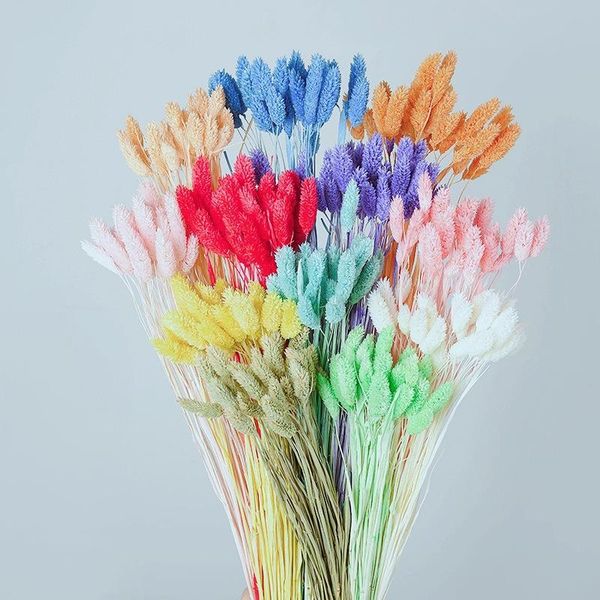 30pc /set natural gradient dry flower bouquet tail grass easter flower wedding valentine's day gift decor crafts flowers
30pc /set natural gradient dry flower bouquet tail grass easter flower wedding valentine's day gift decor crafts flowers