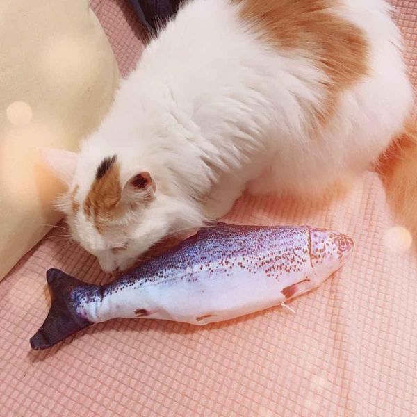 cat toys simulation plush fish toy for electronic pet rechargeable washable usb charging
cat toys simulation plush fish toy for electronic pet rechargeable washable usb charging