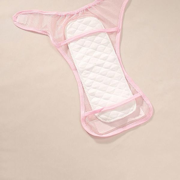 cloth diapers 5 baby reusable diaper washable mesh pocket nappy born summer breathable cotton training pants panty for infant
cloth diapers 5 baby reusable diaper washable mesh pocket nappy born summer breathable cotton training pants panty for infant