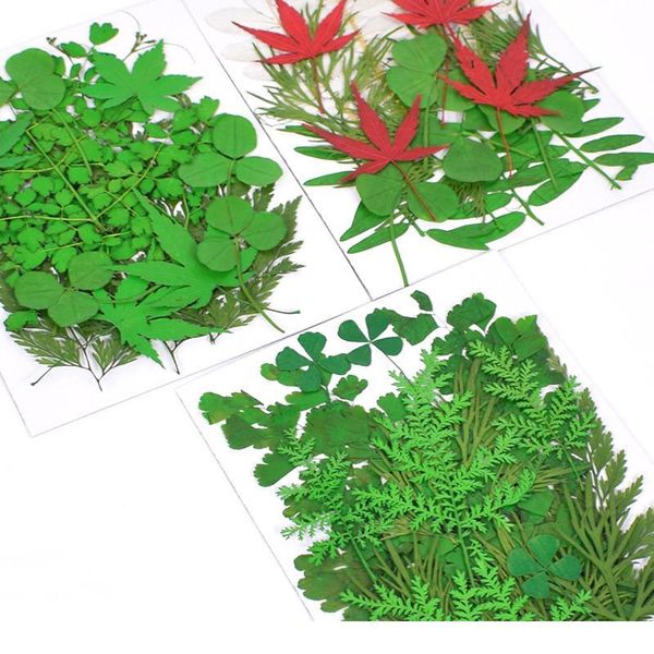 leaf combination natural true dry leaf candle dry plant specimen epoxy resin jewelry making process diy jewelry jllauz
leaf combination natural true dry leaf candle dry plant specimen epoxy resin jewelry making process diy jewelry jllauz