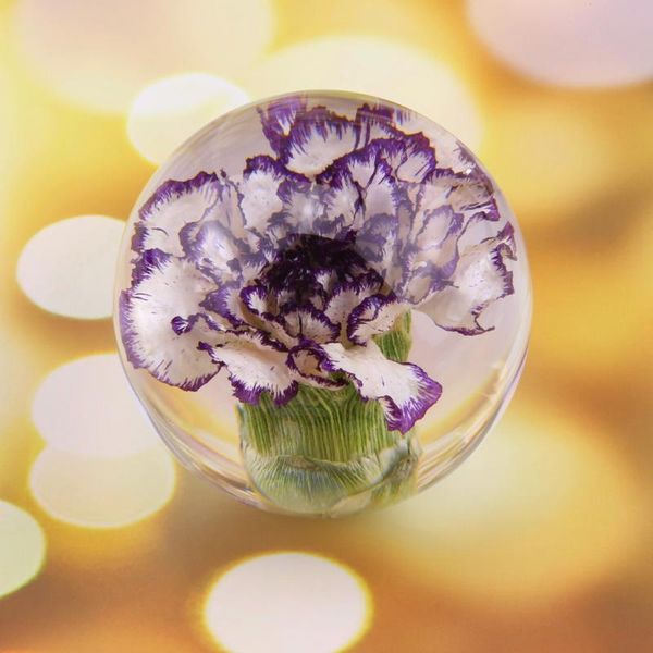 novelty items natural purple carnation crystal glass resin lens ball plants flower specimen christmas love mom gift with box home decor glob
novelty items natural purple carnation crystal glass resin lens ball plants flower specimen christmas love mom gift with box home decor glob