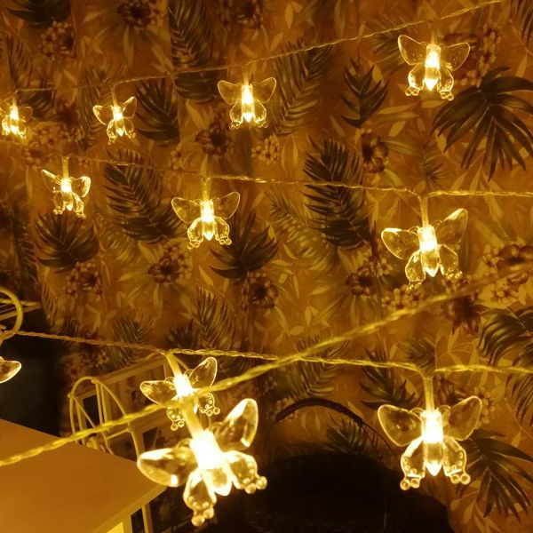 strings led butterfly fairy christmas lights string battery operated indoor for bedroom festoon year's garland party decoration
strings led butterfly fairy christmas lights string battery operated indoor for bedroom festoon year's garland party decoration
