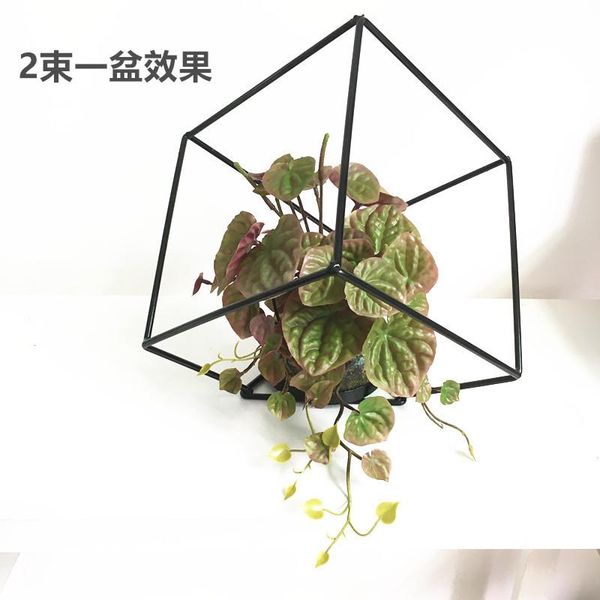 fake green radish real touch succulent plant garden home decoration green plants
fake green radish real touch succulent plant garden home decoration green plants