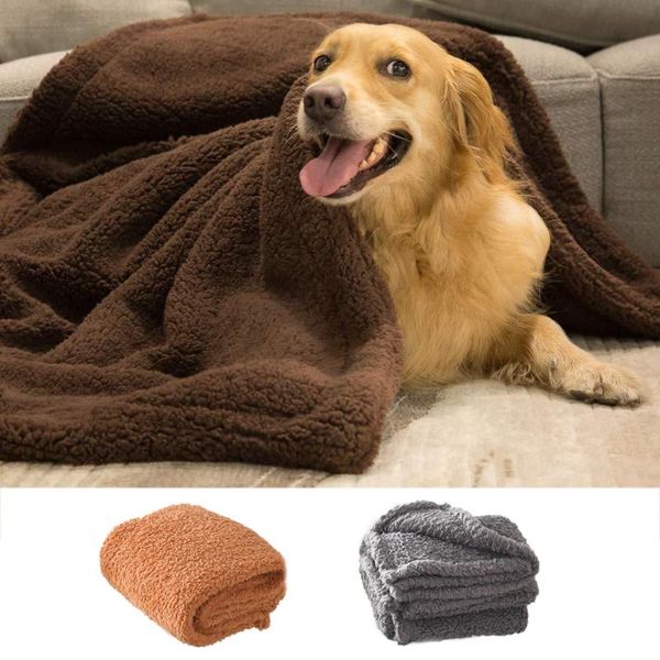 kennels & pens soft plush sleeping dog bed for small medium large cat breathable warm blanket puppy chihuahua teddy pet mat
kennels & pens soft plush sleeping dog bed for small medium large cat breathable warm blanket puppy chihuahua teddy pet mat