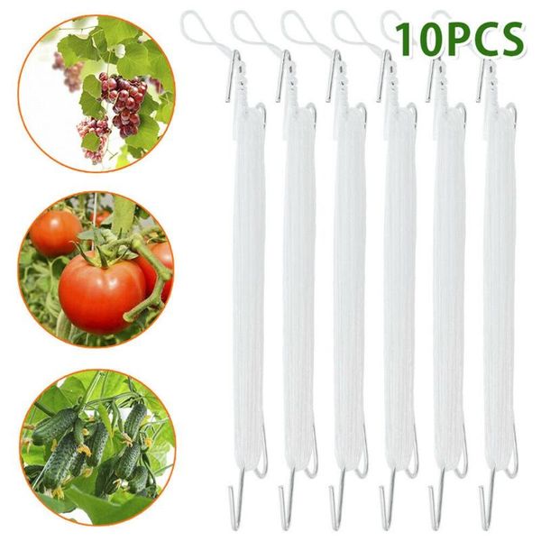other garden supplies 10pcs greenhouse plant vegetable hook tomato support clips prevent tomatoe from pinching tool
other garden supplies 10pcs greenhouse plant vegetable hook tomato support clips prevent tomatoe from pinching tool