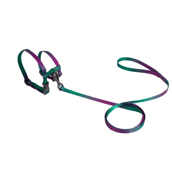 cat collars & leads collar traction rope pet products and accessories cats necklace comfortable animal durable
cat collars & leads collar traction rope pet products and accessories cats necklace comfortable animal durable