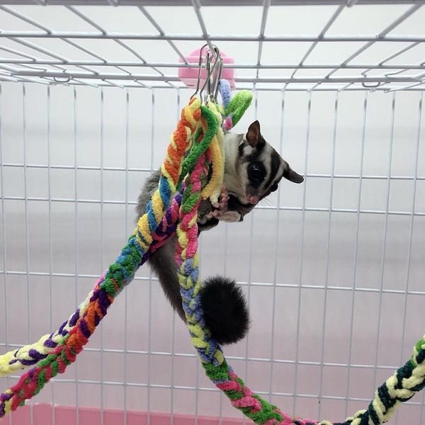 other bird supplies parrot rope hanging braided chew cage cockatiel toy pet stand training accessories conure swing
other bird supplies parrot rope hanging braided chew cage cockatiel toy pet stand training accessories conure swing