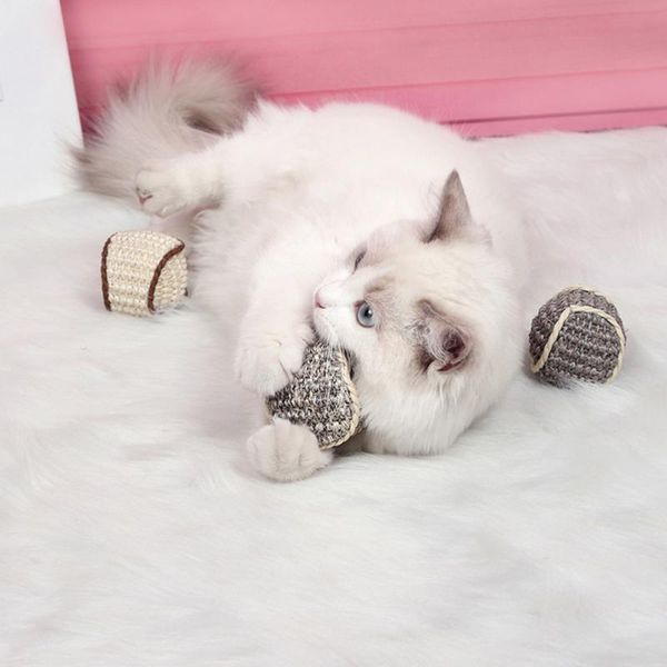 cat toys cats chew with gnawing claw grinding sisal balls to tease funny interactive pet exercise gato
cat toys cats chew with gnawing claw grinding sisal balls to tease funny interactive pet exercise gato