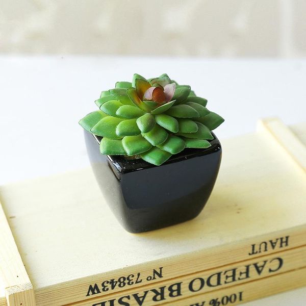 black pot simulation bonsai (including pot) plant creative home decoration mini artificial succulent plant fake flower
black pot simulation bonsai (including pot) plant creative home decoration mini artificial succulent plant fake flower