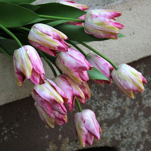 decorative flowers & wreaths 8pc printing tulip flower branch single artificial for decoration home wedding party fake wall accessories
decorative flowers & wreaths 8pc printing tulip flower branch single artificial for decoration home wedding party fake wall accessories