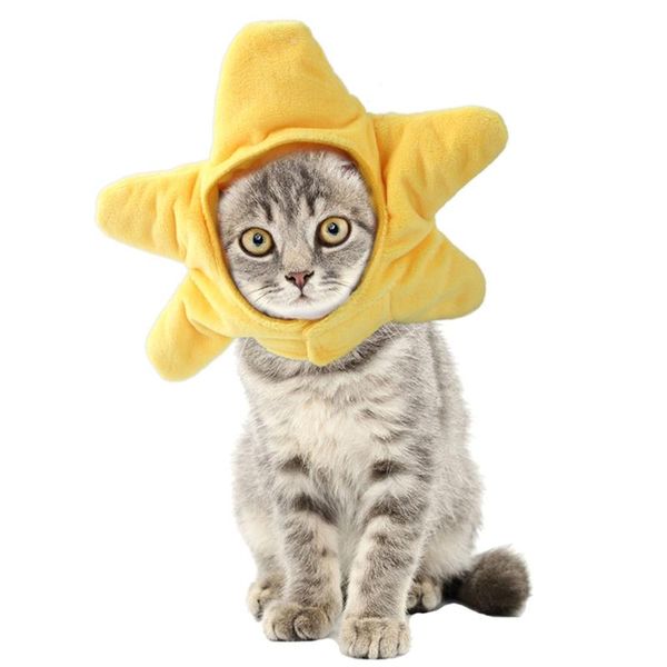 cat costumes yellow starfish headwear for small dogs cute hat pet holiday accessories po props suitable cats and puppy
cat costumes yellow starfish headwear for small dogs cute hat pet holiday accessories po props suitable cats and puppy