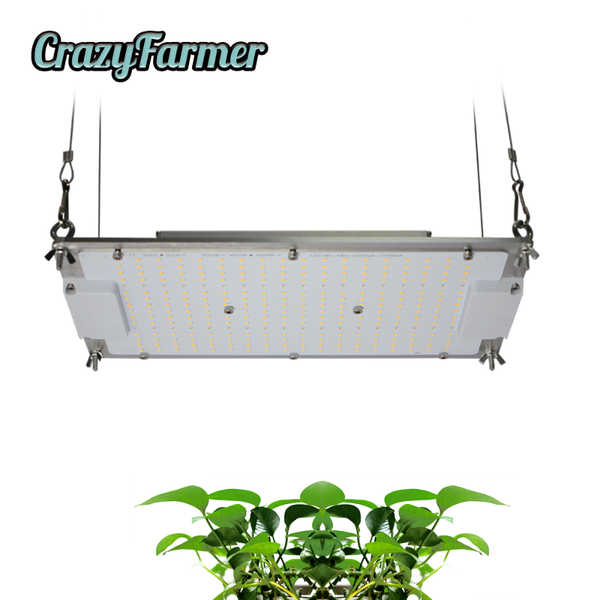 manufacturer of led grow light crazy farmer 120w 3000k 3500k dimmable growing lights for indoor
manufacturer of led grow light crazy farmer 120w 3000k 3500k dimmable growing lights for indoor