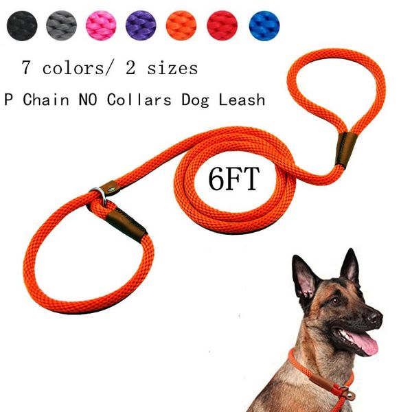 6ft p chain dog leash slip collar pet walking leads nylon dog mountain climbing rope puppy pet traction for medium large dogs
6ft p chain dog leash slip collar pet walking leads nylon dog mountain climbing rope puppy pet traction for medium large dogs