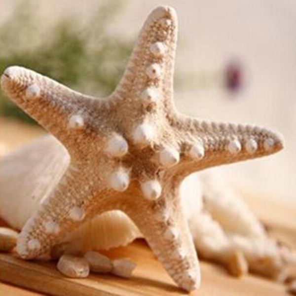 1pcs 2 sizes starfish crafts decoration natural mediterranean star diy beach cottage children's bedroom living room decoration
1pcs 2 sizes starfish crafts decoration natural mediterranean star diy beach cottage children's bedroom living room decoration