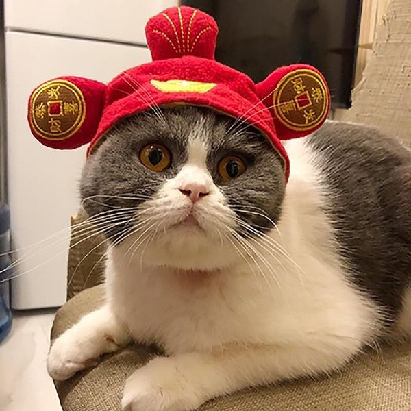 cat costumes animal adjustable pet hat headgear fruit party costume dog halloween xmas for puppy neccessity
cat costumes animal adjustable pet hat headgear fruit party costume dog halloween xmas for puppy neccessity