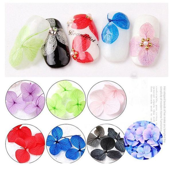 10/50/100pcs mix color real hydrangea flower dry plants for dry flower diy epoxy resin crafts dry flowers f qyldjq
10/50/100pcs mix color real hydrangea flower dry plants for dry flower diy epoxy resin crafts dry flowers f qyldjq