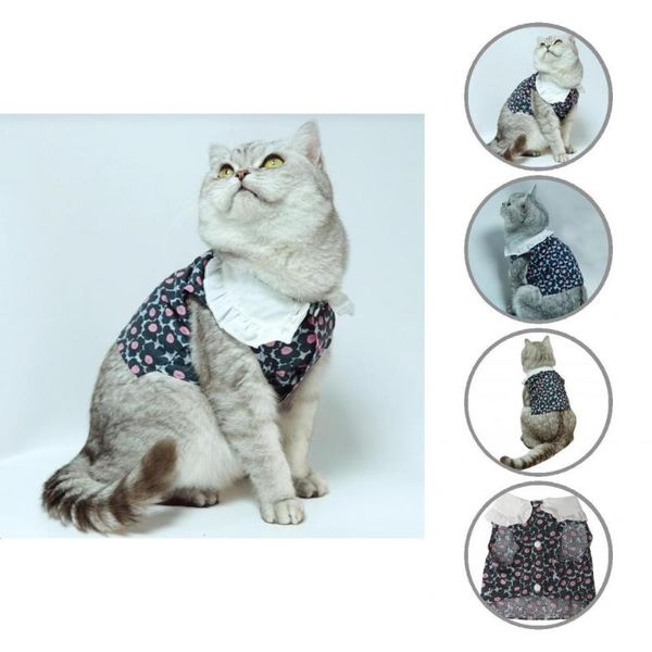 cat costumes skin-friendly exquisite workmanship loose cotton costume for small cats dogs
cat costumes skin-friendly exquisite workmanship loose cotton costume for small cats dogs