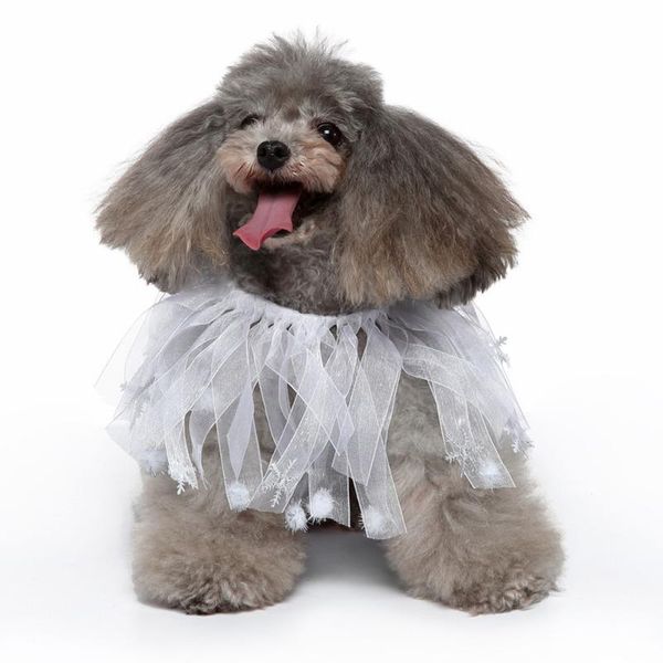 cat collars & leads pet bandana collar costume lace apparel scarf accessories dress up breathable bibs for small medium dogs cats
cat collars & leads pet bandana collar costume lace apparel scarf accessories dress up breathable bibs for small medium dogs cats